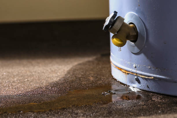 Best Basement water damage restoration  in Ojus, FL