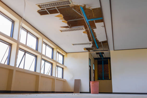 Best Commercial water damage restoration  in Ojus, FL