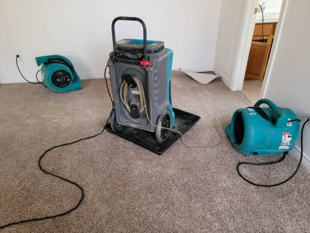 Best Emergency water damage restoration  in Ojus, FL