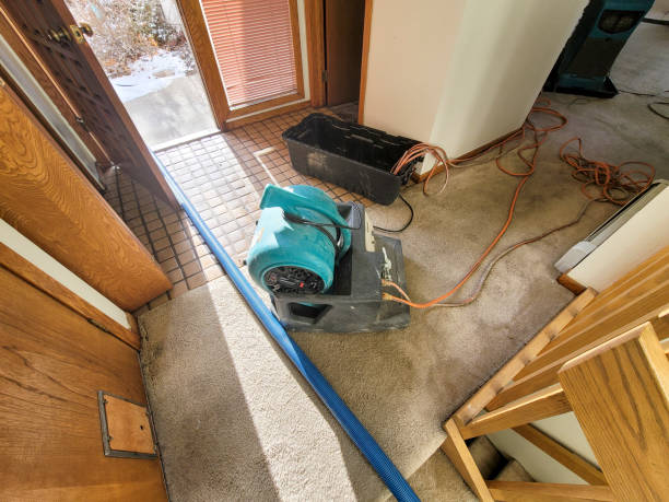 Best Flood damage cleanup  in Ojus, FL