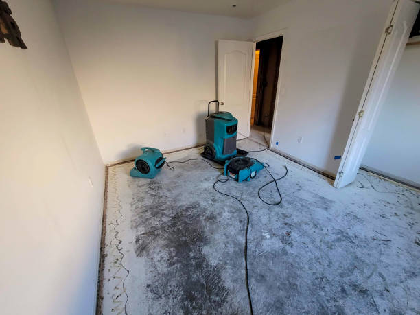 Sewage cleanup and water damage restoration in FL