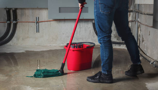 Best 24/7 water damage repair  in Ojus, FL