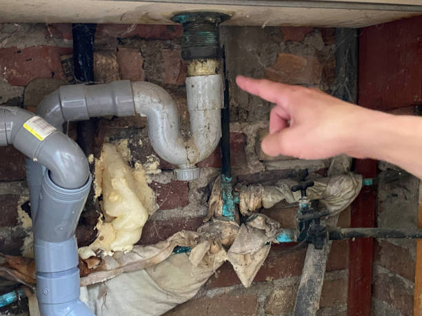 Best Flood damage cleanup  in Ojus, FL