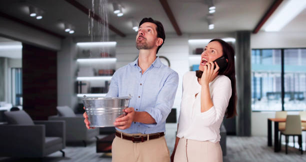Best Ceiling water damage repair  in Ojus, FL