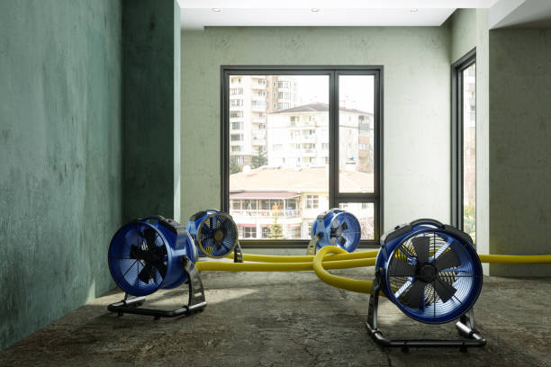 Best Water damage restoration specialists  in Ojus, FL