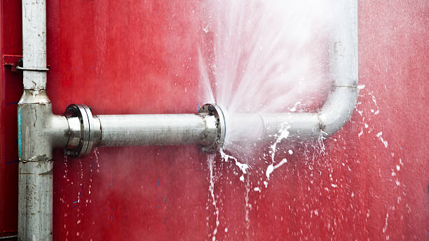 Best Residential water damage restoration  in Ojus, FL